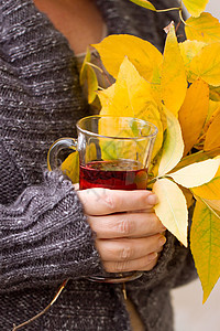 手握茶叶和秋叶的女子黄色季节毛衣围巾棕色女士眼镜杯子树叶红色图片