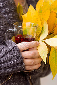 手握茶叶和秋叶的女子毛衣季节性杯子季节围巾女士木槿眼镜棕色红色图片