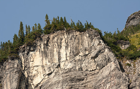 自然力量冒险树木远足地标悬崖景点风景家庭旅行公园图片