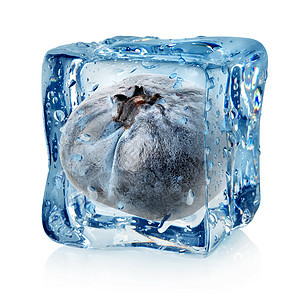 冰中的蓝莓图片