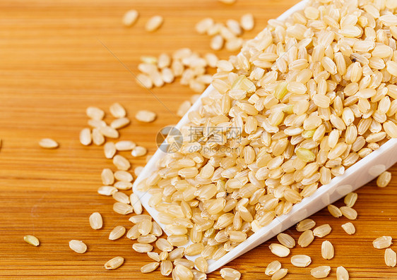 棕米饭谷物大米塑料勺美食钢包饭勺棕色粮食米饭塑料图片