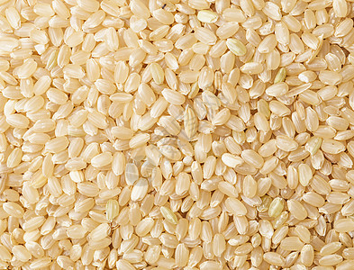 棕稻背景米饭塑料勺棕色大米钢包美食谷物塑料饭勺粮食图片