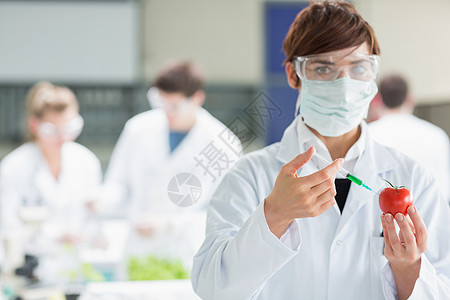 站在实验室里的妇女注射西红番茄图片