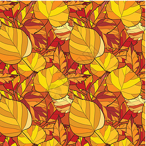 带秋叶的无缝背景背景季节红色植物墙纸公园黄色橙子棕色白色插图图片