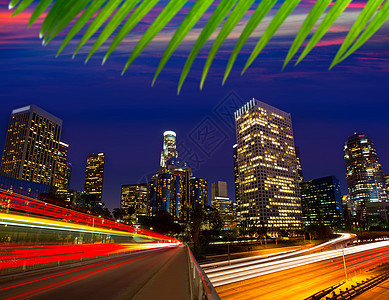 洛杉矶日落 天际线加利福尼亚州市中心办公室商业运输棕榈建筑学地标建筑物高楼市中心天空图片