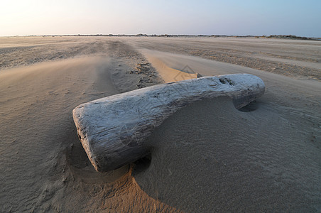 在海边的木头在camargue地标旅行运动历史日落建筑学海洋旅游海岸天空图片