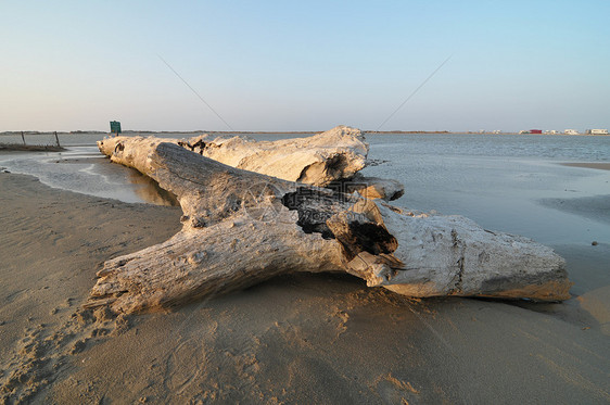 在海边的木头在camargue历史旅行海岸海洋假期运动日落天空建筑学地标图片