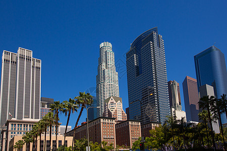 LA 洛杉矶市中心Pershing广场棕榈树蓝色天空市中心天际职场摩天大楼旅行建筑物商业建筑学图片