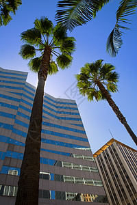 LA 洛杉矶市中心Pershing广场棕榈树天空市中心棕榈正方形景观旅行城市商业中心职场图片