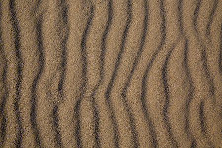 加利福尼亚的沙滩沙丘质图片