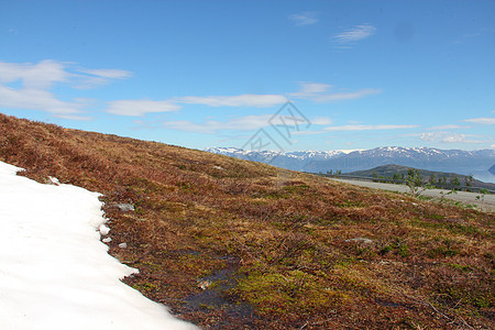 来自挪威冰川的视图全景风景山峰港口峡湾海洋山脉蓝色海岸线旅行图片