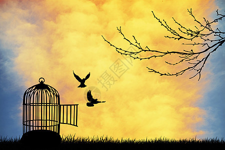 鸟笼天空阳光恋人树叶草地分支机构动物插图浪漫装饰品图片
