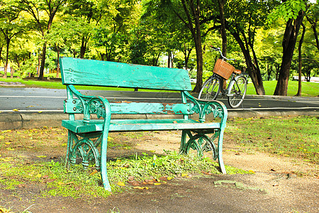 公园中的法官自行车叶子季节花园座位场景植物木头绿色长椅图片