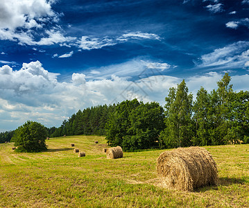 球场的Hay篮子干草稻草草地天空风景场地植物季节图片