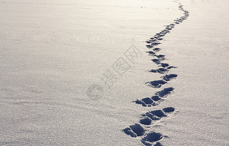 雪上脚步漫游日光农村踪迹脚印脚步声探索痕迹旅游季节背景图片