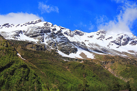 高加索山脉 Dombai季节顶峰旅行风景冰川全景木头叶子爬坡岩石图片