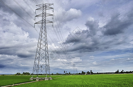 稻田和高架线发射塔传播力量线条塔架场地高架海岸稻田背景