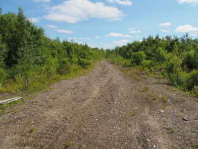 森林道路孤独农村生态草地场景耕地小路环境季节场地图片