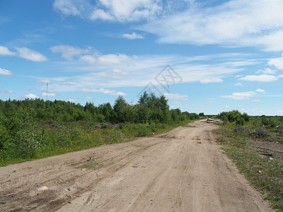 森林道路草原场地生态草地场景牧场活力农村林道树木图片