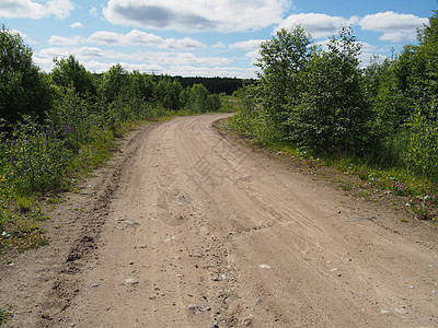 森林道路孤独活力生态植物土地树木场地季节农业耕作图片