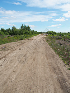 森林道路场地土地农业季节牧场农村小路植物活力场景图片