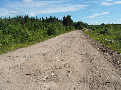 森林道路土地活力环境林道生态耕地树木牧场植物农村图片