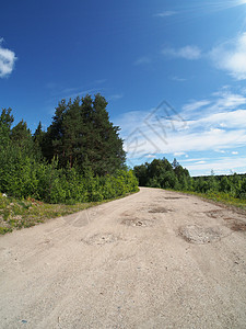 森林道路草地土地全景林道孤独植物场地农业活力小路图片