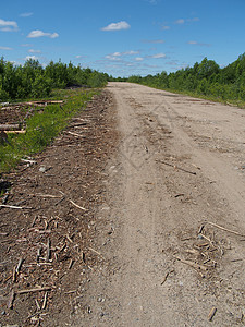 森林道路树木活力孤独季节耕作小路牧场草地天空场地图片