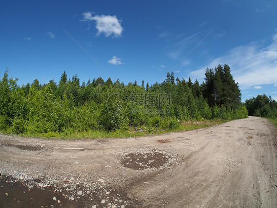 森林道路树木草地小路生态农业活力孤独植物场地全景图片