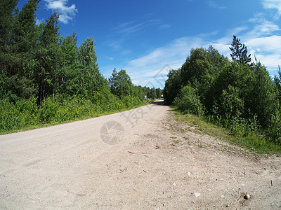 森林道路农业全景季节草地活力孤独牧场草原植物林道图片