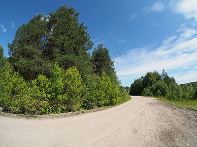 森林道路场景草原乡村牧场季节植物土地耕作农业林道图片