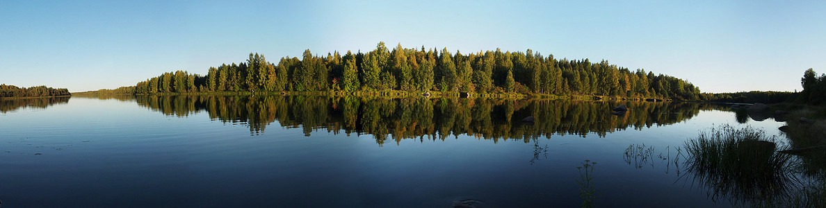 河滨美化英语树木湖景花园土地森林国家绿化园艺图片
