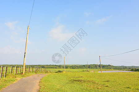 国家公路城市阳光日出场地车道风景衬套天空美丽绿色图片