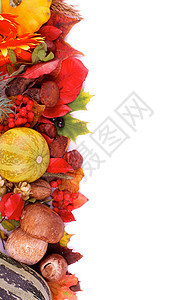 秋季框架食用菌风化红宝石叶子乡村浆果边界南瓜枫叶核桃图片