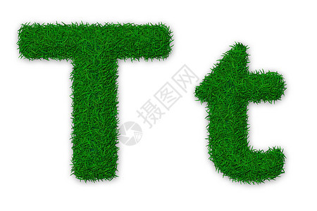 草信T插图首都绿色小写生态字体打字稿环境图片