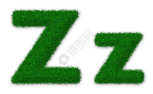 草信 Z首都字体绿色小写环境插图生态打字稿图片