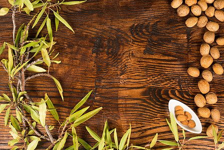 杏金背景桌子坚果营养树叶高视角水平静物菜单植物模板图片
