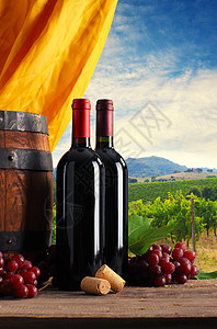 红酒静物酒瓶风光瓶子文化葡萄园田园饮食酒精树叶图片