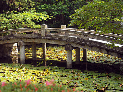 庆安寺桥桥-京都-日本图片