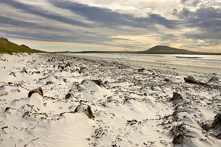 Pebble岛福克兰群岛旅游旅行海滩群岛涟漪地形海岸风景图片