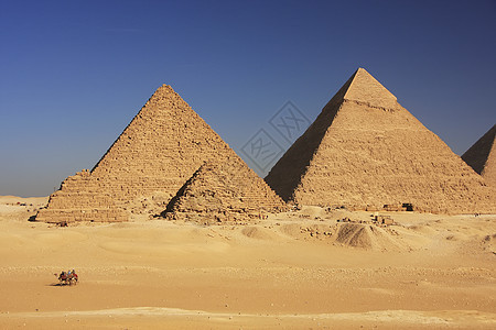 开罗吉扎金字塔金字塔狮身石头骆驼纪念碑人面沙漠地标大车风暴图片