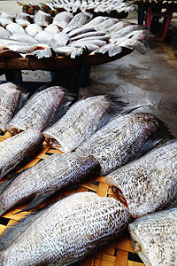 干蛇皮黑瓜米鱼美食文化盐渍海鲜饮食市场食物午餐动物钓鱼图片