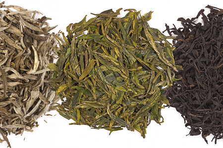 中文茶单丛龙井饮料树叶味道银针茉莉叶子图片
