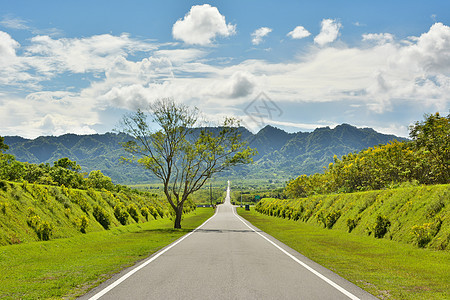 农村道路和乡村地貌爬坡蓝色美丽国家土地场地风景草地植物场景图片