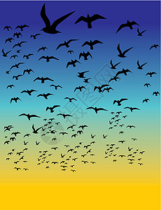 黑人背景鸟类生命矢量艺术翅膀森林季节野生动物生活航班植绒迁移羽毛绘画图片