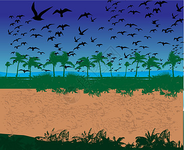 黑人背景鸟类生命矢量艺术翅膀季节绘画航班编队森林动物插图打印羽毛图片