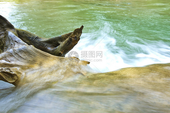 瀑布植物群环境叶子森林雨林灯光阳光荒野公园旅行图片