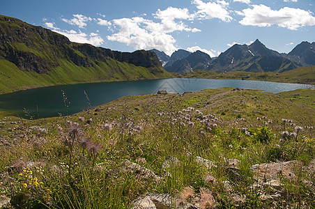 阿尔卑斯山草地顶峰首脑场地蓝色岩石远足植物群季节旅行荒野图片