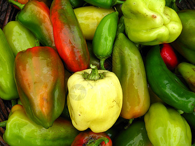 多色胡椒保加利亚胡椒作物植物生活农业收成食物绿色杂货棕色厨房营养图片