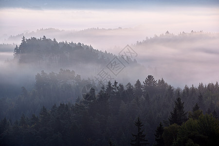 波希米亚瑞士的雾亮树木日落公园环境爬坡阴霾阳光风景国家土地图片